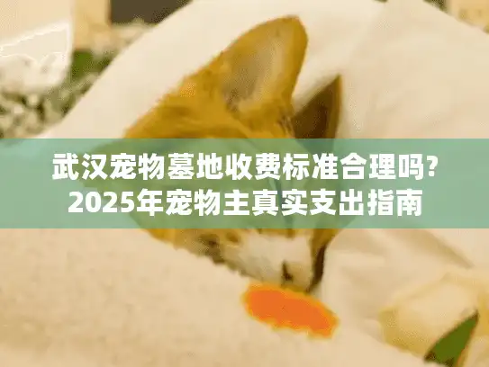武汉宠物墓地收费标准合理吗?2025年宠物主真实支出指南