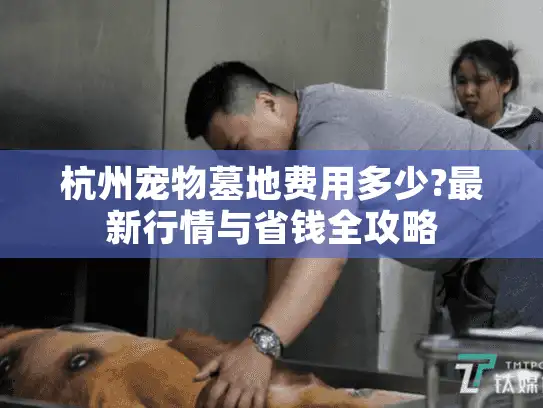 杭州宠物墓地费用多少?最新行情与省钱全攻略
