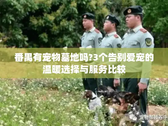 番禺有宠物墓地吗?3个告别爱宠的温暖选择与服务比较