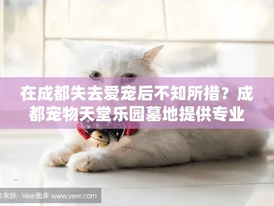 在成都失去爱宠后不知所措？成都宠物天堂乐园墓地提供专业告别方案