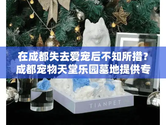 在成都失去爱宠后不知所措？成都宠物天堂乐园墓地提供专业告别方案