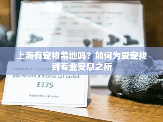 上海有宠物墓地吗？如何为爱宠找到专业安息之所
