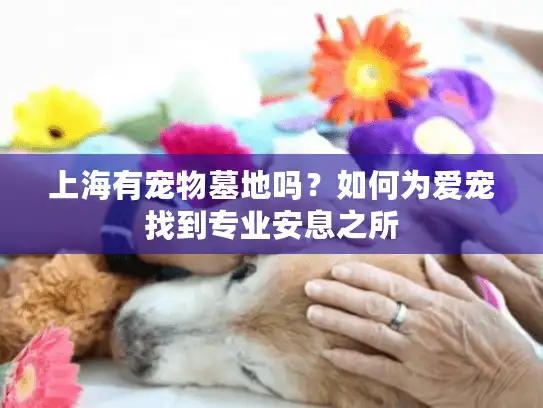 上海有宠物墓地吗？如何为爱宠找到专业安息之所