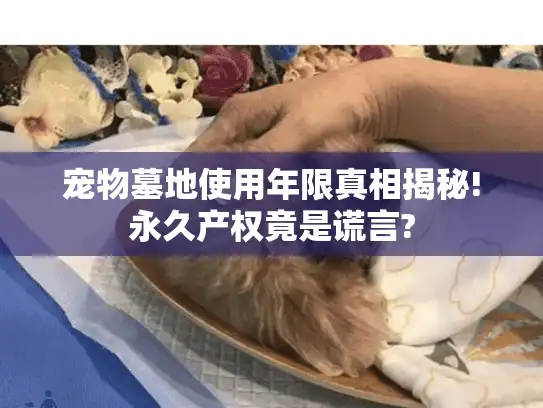 宠物墓地使用年限真相揭秘!永久产权竟是谎言?