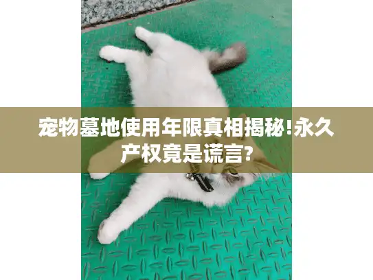 宠物墓地使用年限真相揭秘!永久产权竟是谎言?