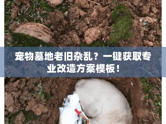 宠物墓地老旧杂乱？一键获取专业改造方案模板！