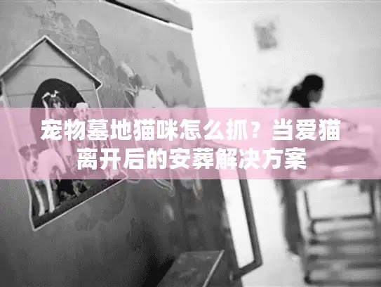 宠物墓地猫咪怎么抓？当爱猫离开后的安葬解决方案