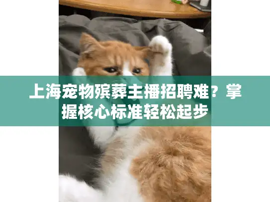上海宠物殡葬主播招聘难？掌握核心标准轻松起步