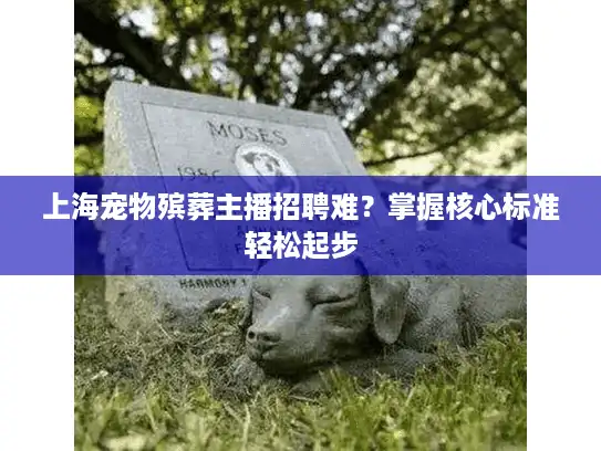 上海宠物殡葬主播招聘难？掌握核心标准轻松起步