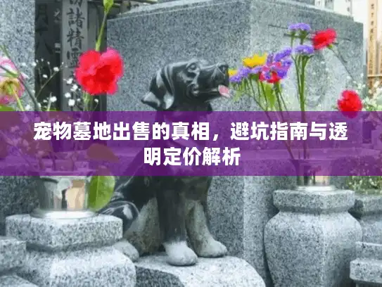宠物墓地出售的真相，避坑指南与透明定价解析