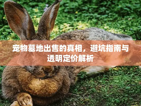 宠物墓地出售的真相，避坑指南与透明定价解析