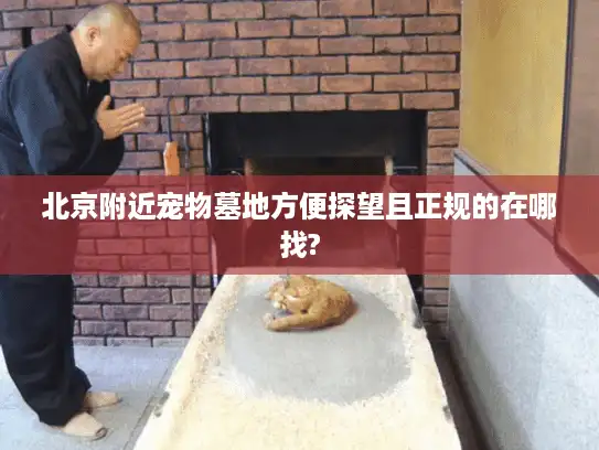 北京附近宠物墓地方便探望且正规的在哪找?