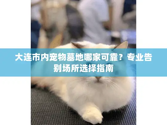 大连市内宠物墓地哪家可靠？专业告别场所选择指南