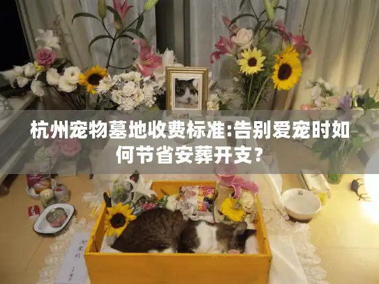 杭州宠物墓地收费标准:告别爱宠时如何节省安葬开支？