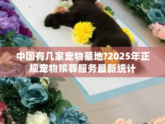 中国有几家宠物墓地?2025年正规宠物殡葬服务最新统计