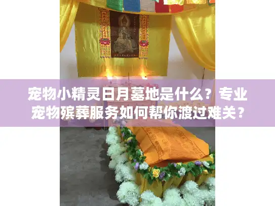 宠物小精灵日月墓地是什么？专业宠物殡葬服务如何帮你渡过难关？