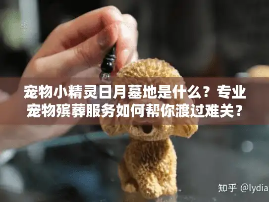 宠物小精灵日月墓地是什么？专业宠物殡葬服务如何帮你渡过难关？