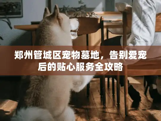 郑州管城区宠物墓地，告别爱宠后的贴心服务全攻略