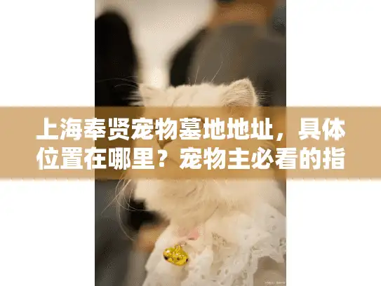 上海奉贤宠物墓地地址，具体位置在哪里？宠物主必看的指南
