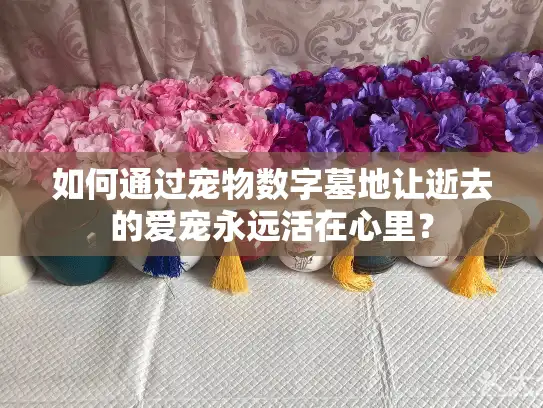 如何通过宠物数字墓地让逝去的爱宠永远活在心里？