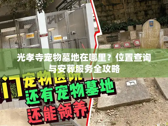 光孝寺宠物墓地在哪里？位置查询与安葬服务全攻略