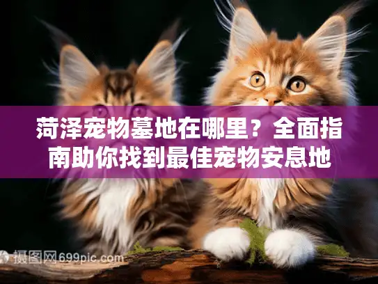 菏泽宠物墓地在哪里？全面指南助你找到最佳宠物安息地