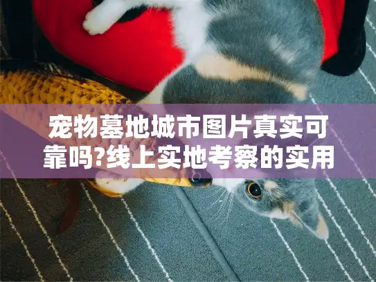 宠物墓地城市图片真实可靠吗?线上实地考察的实用技巧