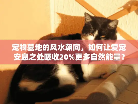 宠物墓地的风水朝向，如何让爱宠安息之处吸收20%更多自然能量？