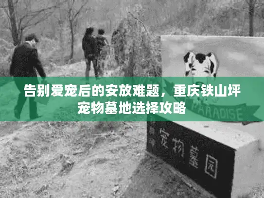 告别爱宠后的安放难题，重庆铁山坪宠物墓地选择攻略
