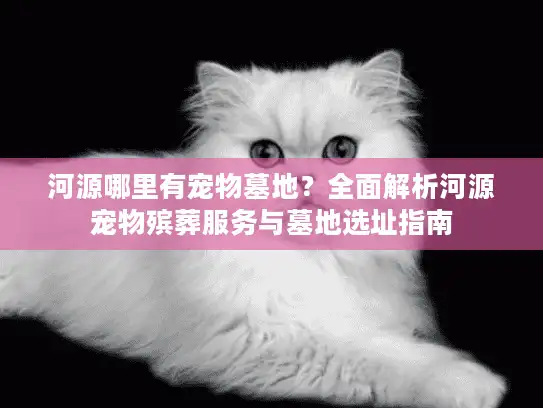 河源哪里有宠物墓地？全面解析河源宠物殡葬服务与墓地选址指南