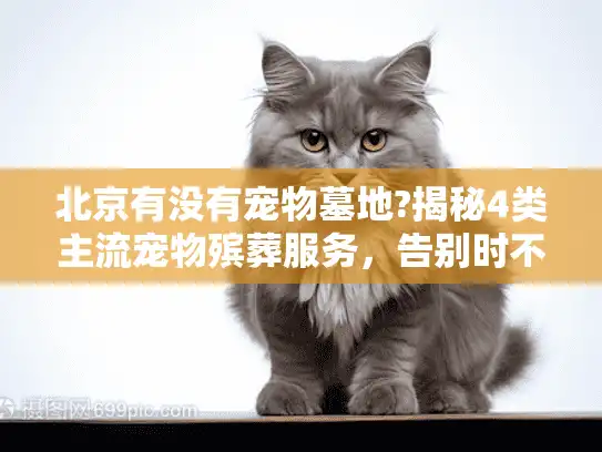 北京有没有宠物墓地?揭秘4类主流宠物殡葬服务，告别时不留遗憾