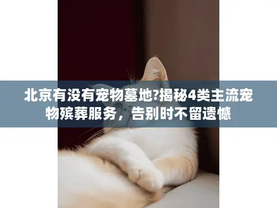 北京有没有宠物墓地?揭秘4类主流宠物殡葬服务，告别时不留遗憾