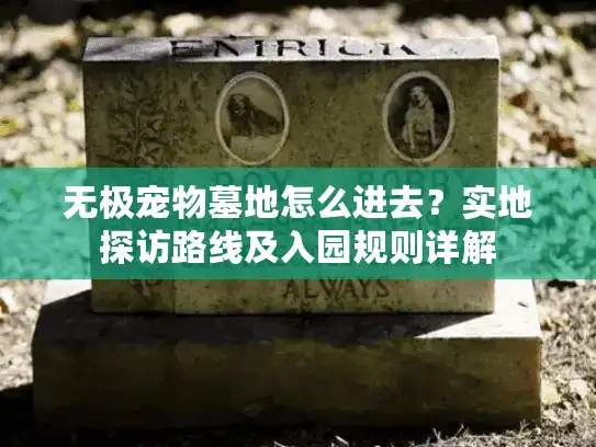 无极宠物墓地怎么进去？实地探访路线及入园规则详解
