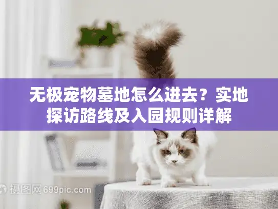 无极宠物墓地怎么进去？实地探访路线及入园规则详解