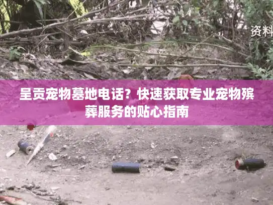 呈贡宠物墓地电话？快速获取专业宠物殡葬服务的贴心指南