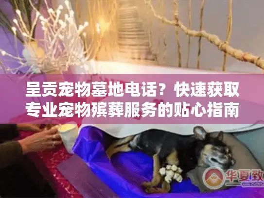 呈贡宠物墓地电话？快速获取专业宠物殡葬服务的贴心指南