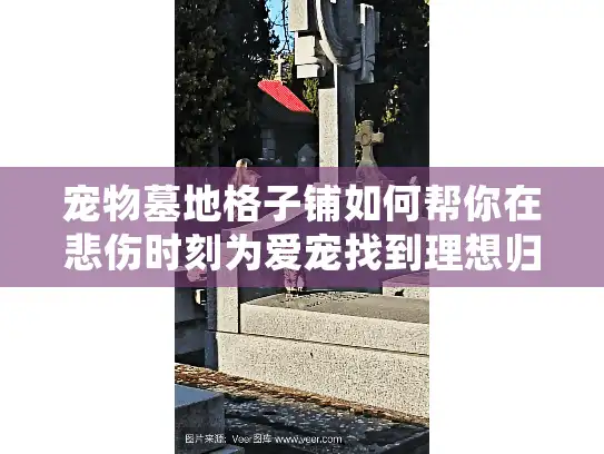 宠物墓地格子铺如何帮你在悲伤时刻为爱宠找到理想归宿？