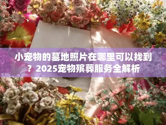 小宠物的墓地照片在哪里可以找到？2025宠物殡葬服务全解析