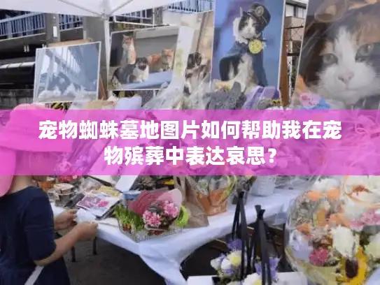 宠物蜘蛛墓地图片如何帮助我在宠物殡葬中表达哀思？