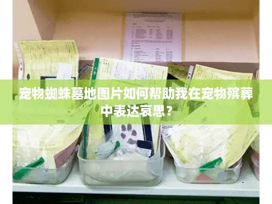 宠物蜘蛛墓地图片如何帮助我在宠物殡葬中表达哀思？