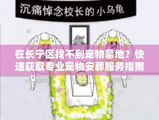 在长宁区找不到宠物墓地？快速获取专业宠物安葬服务指南