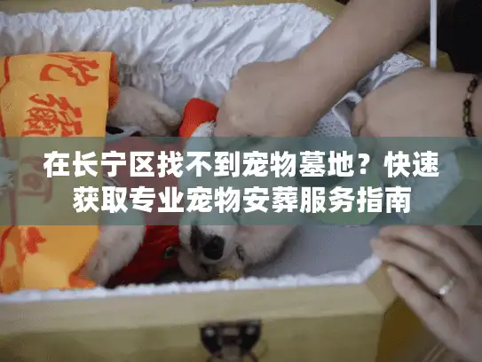 在长宁区找不到宠物墓地？快速获取专业宠物安葬服务指南