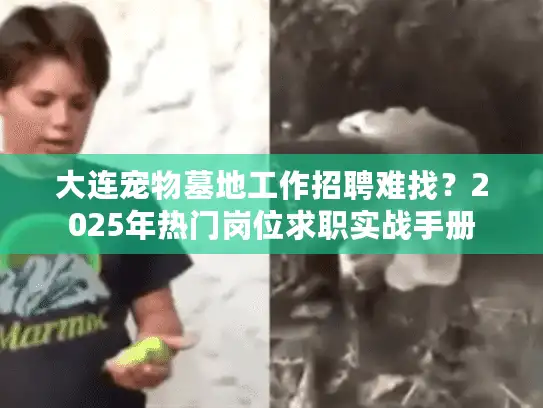 大连宠物墓地工作招聘难找？2025年热门岗位求职实战手册