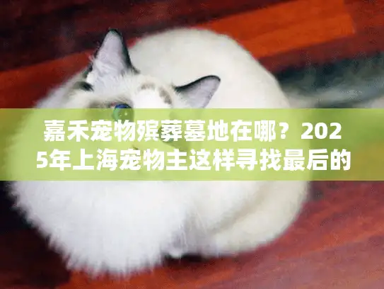 嘉禾宠物殡葬墓地在哪？2025年上海宠物主这样寻找最后的告别地