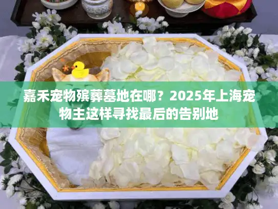 嘉禾宠物殡葬墓地在哪？2025年上海宠物主这样寻找最后的告别地