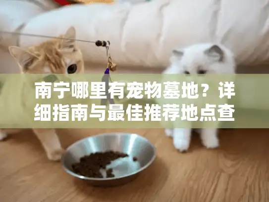 南宁哪里有宠物墓地？详细指南与最佳推荐地点查询