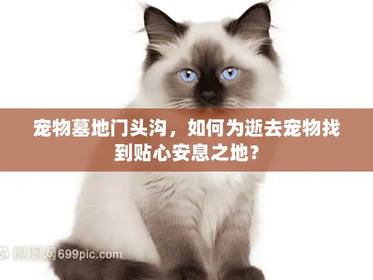 宠物墓地门头沟，如何为逝去宠物找到贴心安息之地？