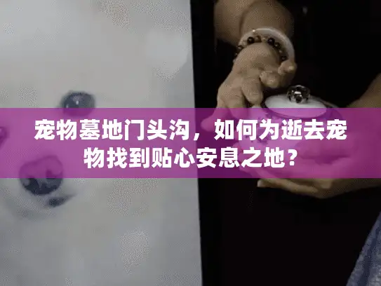 宠物墓地门头沟，如何为逝去宠物找到贴心安息之地？