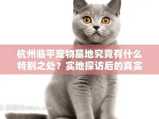杭州临平宠物墓地究竟有什么特别之处？实地探访后的真实感受分享