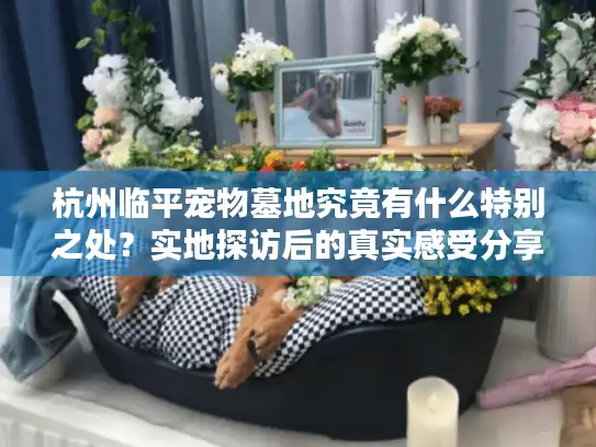 杭州临平宠物墓地究竟有什么特别之处？实地探访后的真实感受分享